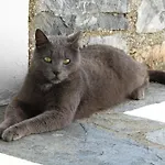Skyros Refuge *